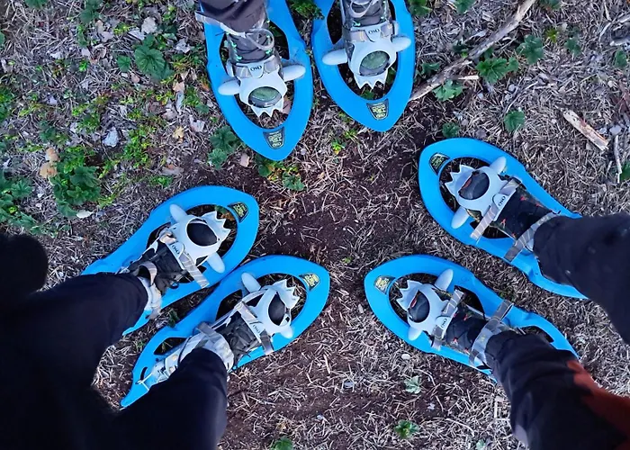 Οργανωμένο κάμπινγκ Glamping Ohukotsu