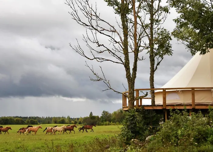 Glamping Οργανωμένο κάμπινγκ Ohukotsu